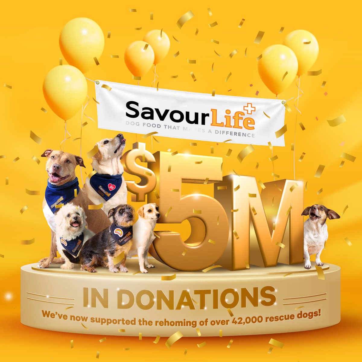 OzDogLover's tweet photo. #Sydney-based family run #dogfood business #SavourLife have been supporting #rescuegroups across Australia since 2013.
They recently surpassed the huge milestone of A$5 million in donations! 🥳
https://t.co/soeSJaEP7I
#ThinkAdoptionFirst #Savealife https://t.co/6MeOVNskay