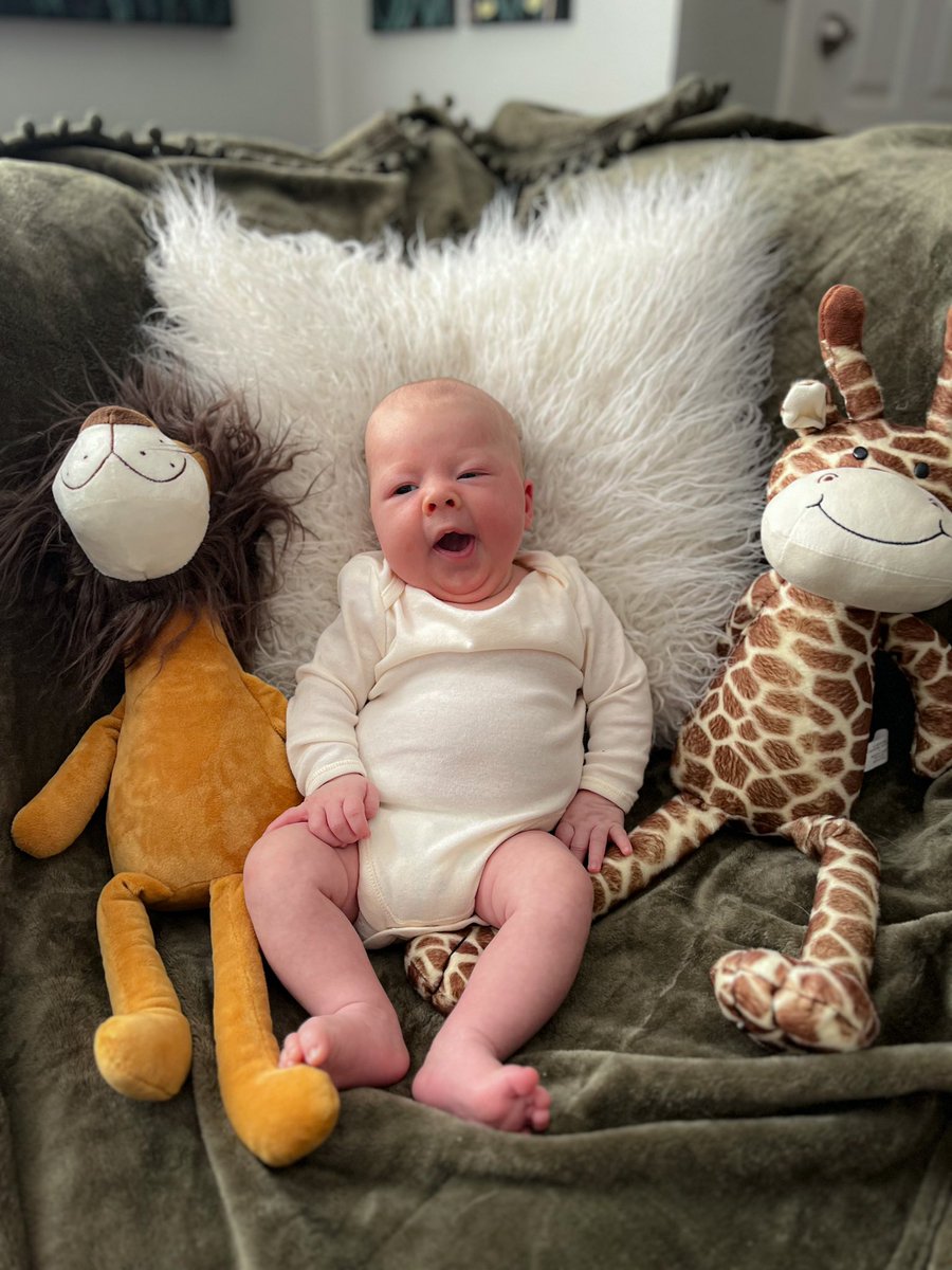austinrfranco's tweet photo. Two months old today 👶🏼 https://t.co/88lJ2VURZu