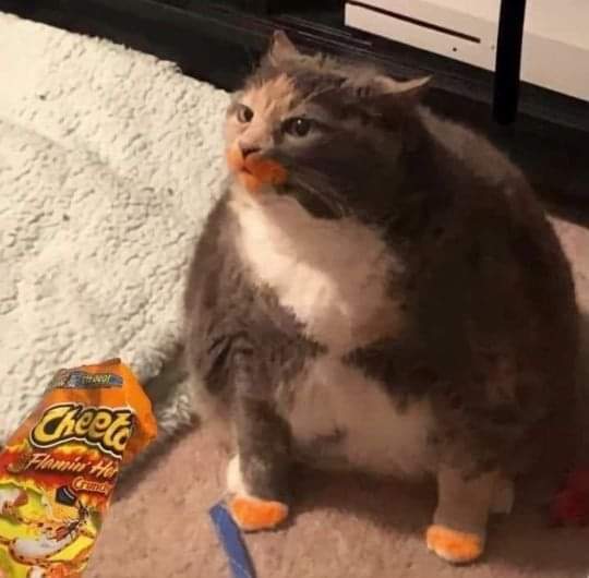 patrixia_corre's tweet photo. Me cae gordo que me pregunten cómo voy con la dieta, qué no ven mis dedos manchados de chetos?! 🙄 https://t.co/VTO4KtaotP