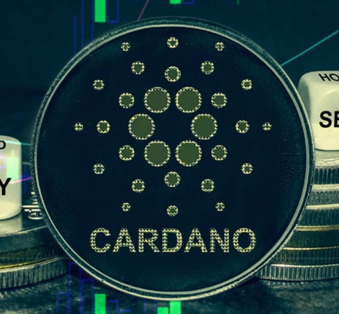 Promote Cardano memes | Cardano Snek.fun tweet media