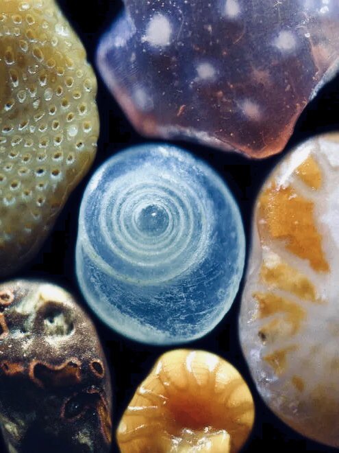 grains of sand from a beach in maui, hawaii, magnified 400x