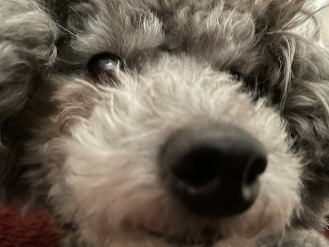 ãã¯ãããããããŸãããšã£ãŠãè¯ãç ããŸãã!