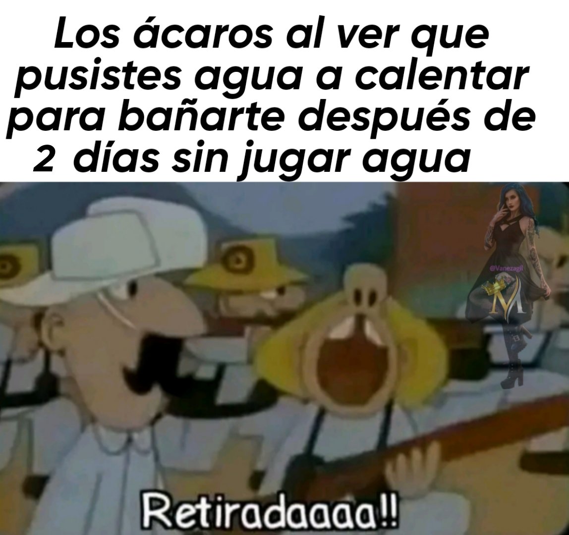 vane devuelta (@devueltavane) on Twitter photo 