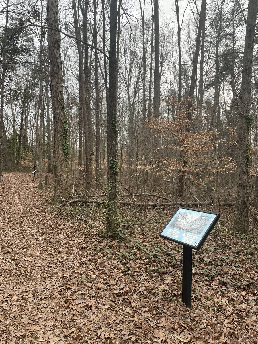 Timmy Gies tweet media