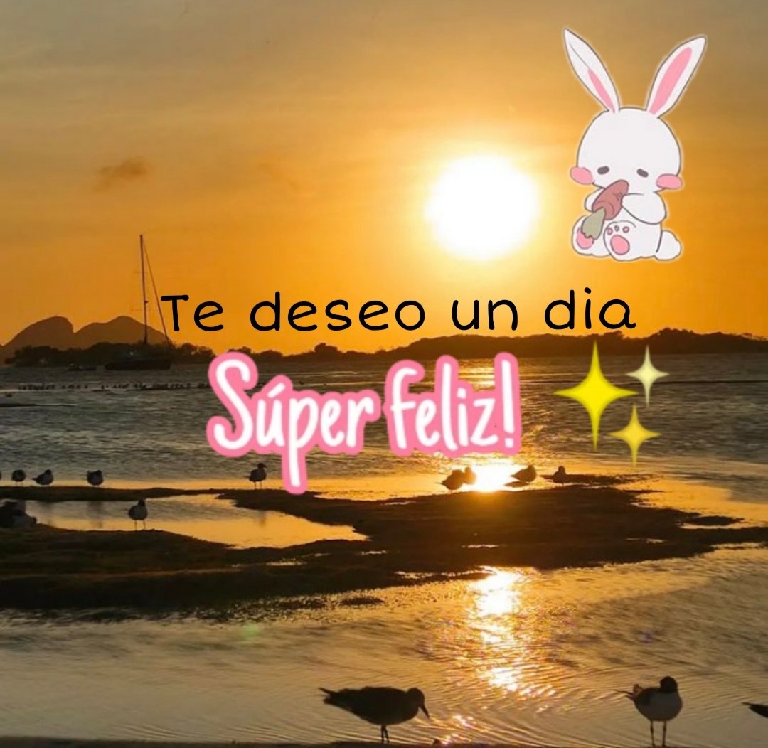 criseteris's tweet photo. @tweetsforyoul Todas son perfectas para esto https://t.co/0RidARNCg6