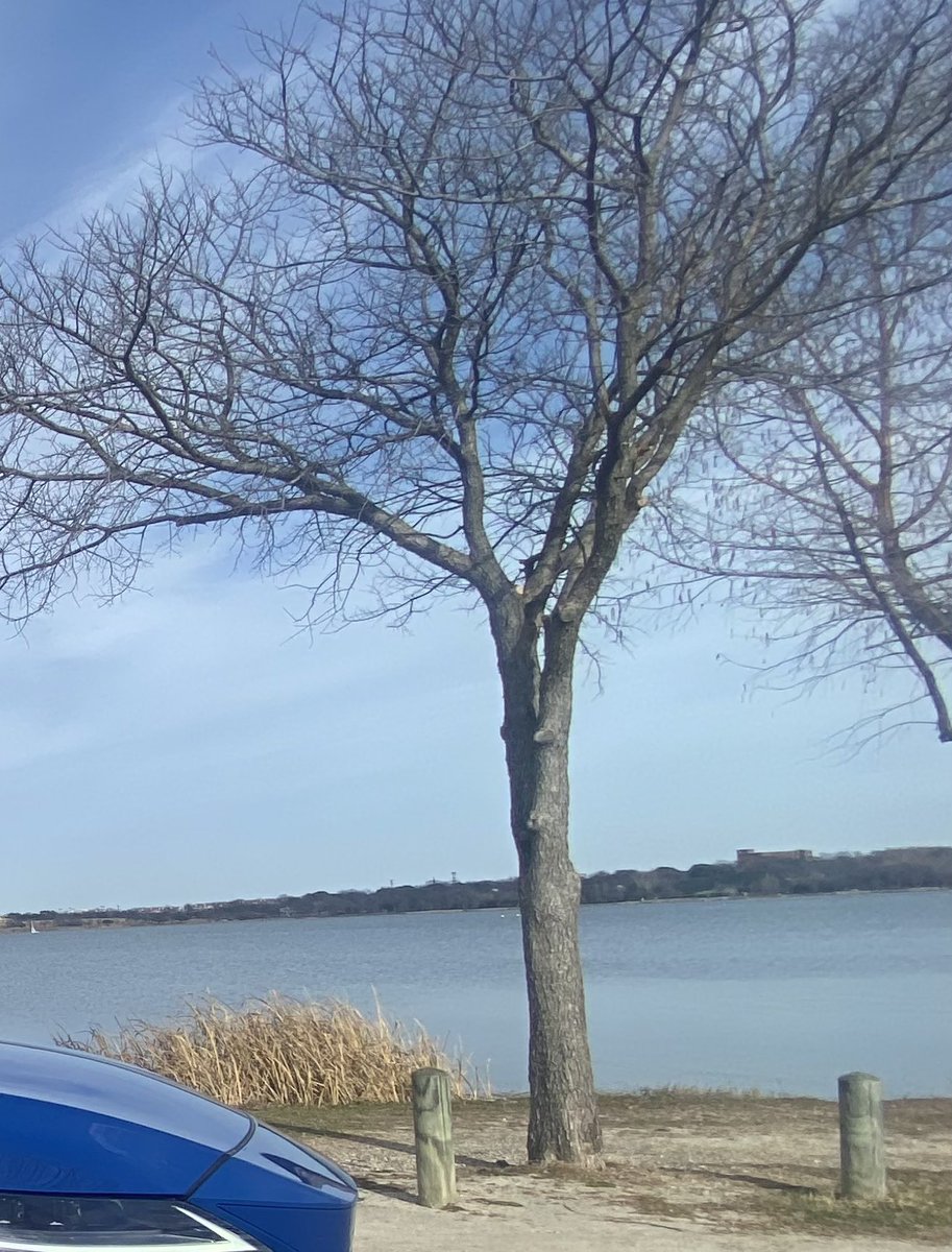 TeiaBCollier's tweet photo. A little lake time, a little drive time in the @Lexus RX 350 and burgers on the patio with my people. A very good blend of everyday extraordinary. #digit #mydallas #ExperienceAmazing https://t.co/5ONn6pHSVv