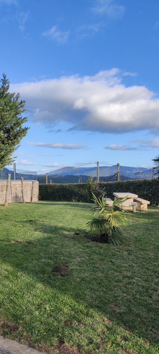 Jujukejazz's tweet photo. Garden view for the next months :) https://t.co/sodYYrPQUr