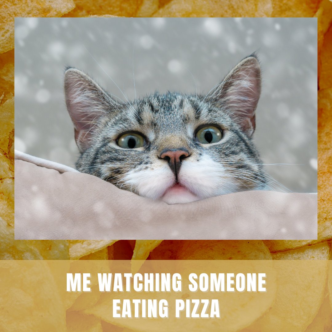 Me Watching Someone Eating Pizza! Our First Meme.
#Meme #pizzameme #favfood #pizzalover #selektpizzainn #meal