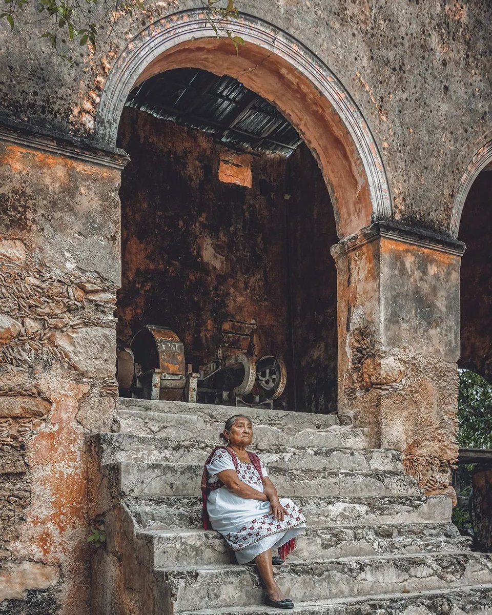 YucatanToday's tweet photo. ✨En Yucatán a donde sea que mires siempre verás algo que te sorprenderá y te hará suspirar😍

📸@gasparsegura https://t.co/SXDjVrlEsA