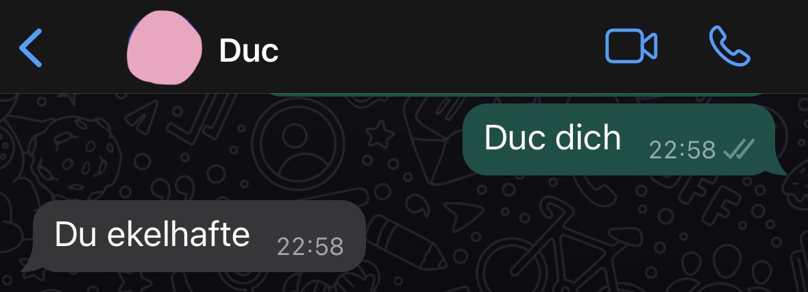 Ich liebe Vietnamesen