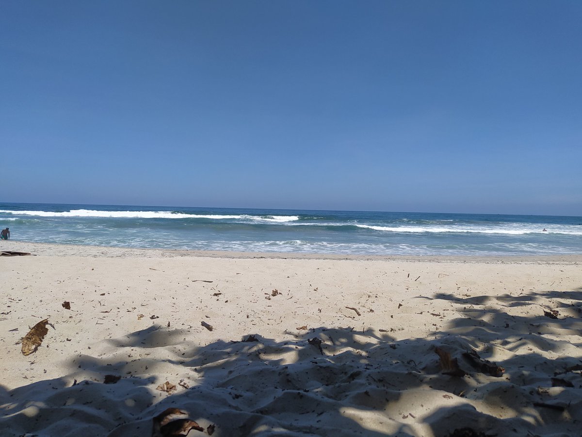 AtorRobertao's tweet photo. Beach. #nature #brazil #Photographie https://t.co/tPVooxfSoO