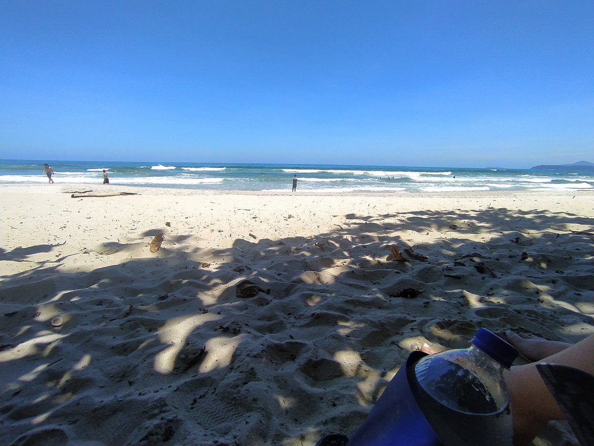 AtorRobertao's tweet photo. Beach. #nature #brazil #Photographie https://t.co/tPVooxfSoO