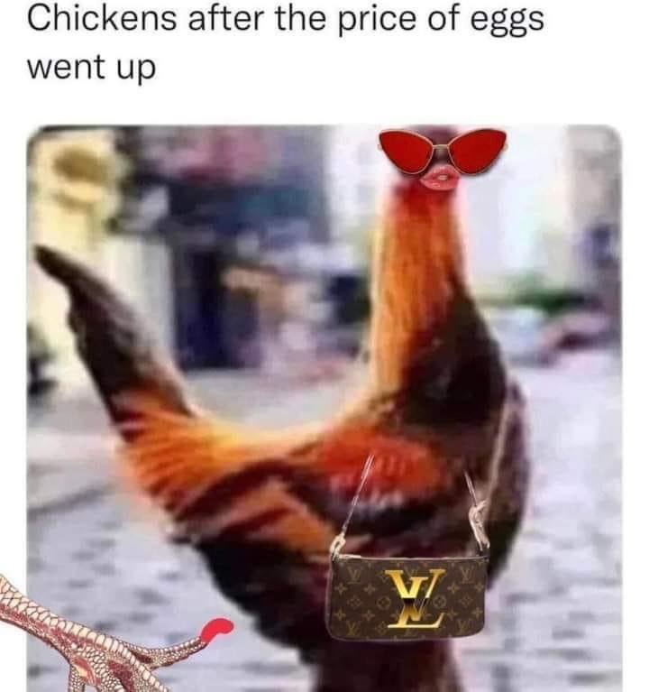 fxevolution's tweet image. #stocks #Crypto