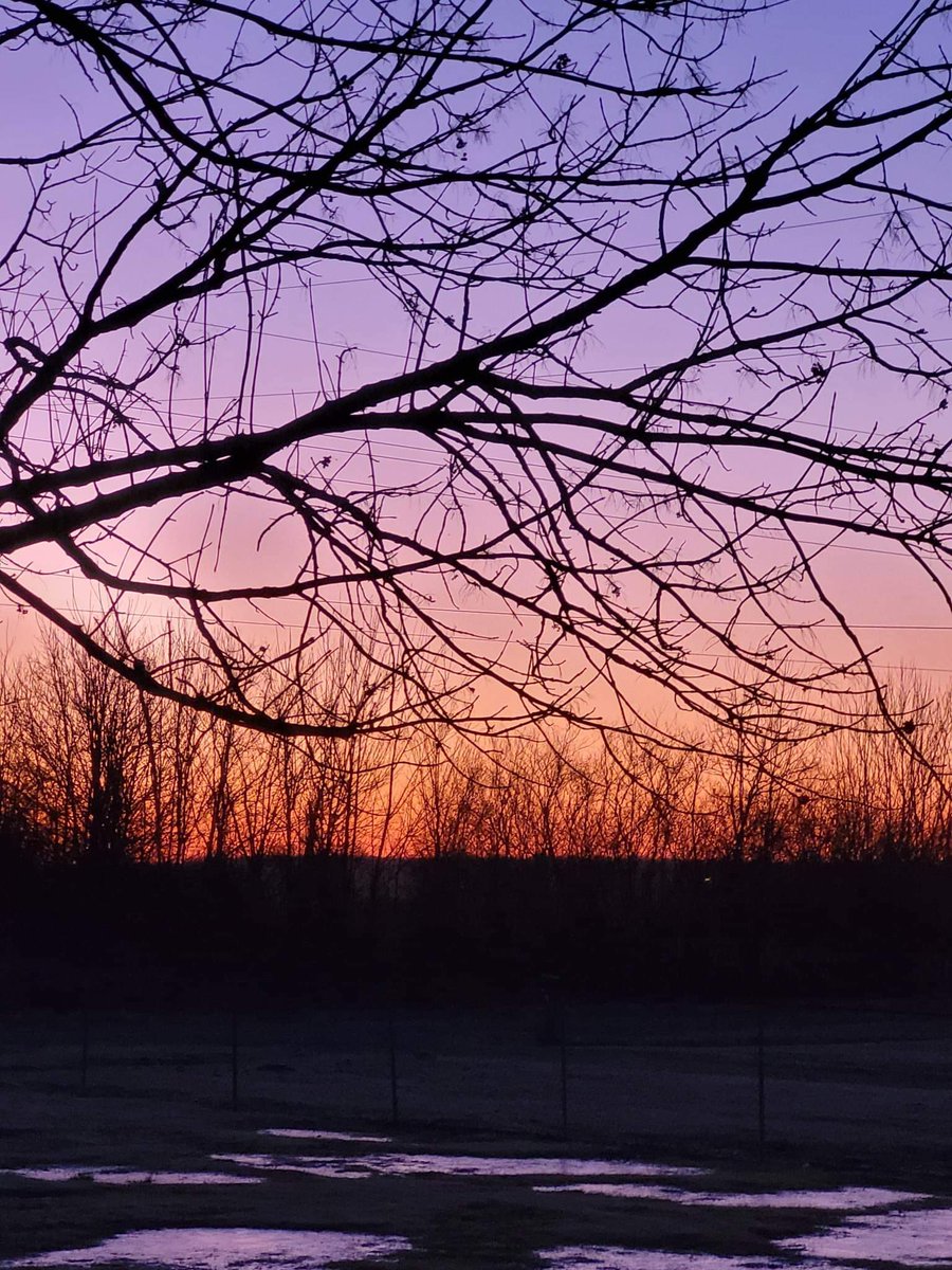 AshleyReneeWx's tweet image. Wayside, MS sunrise Saturday morning ☀️ #viewerphoto #mswx #mississippidelta