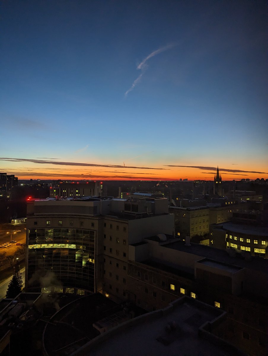 Jonathan C. Lau tweet media