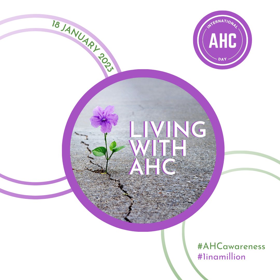 AHC Federation of Europe tweet media