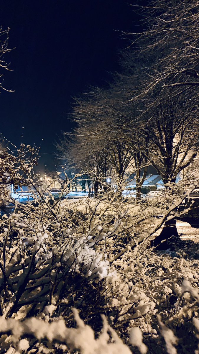 CathalTwomey's tweet image. It’s going to be a cold one tonight ..#sneachta #snowfall #westcork #purecork #ballyvourney #ballymakeera #staysafe #meteireann #ireland #WeatherUpdate