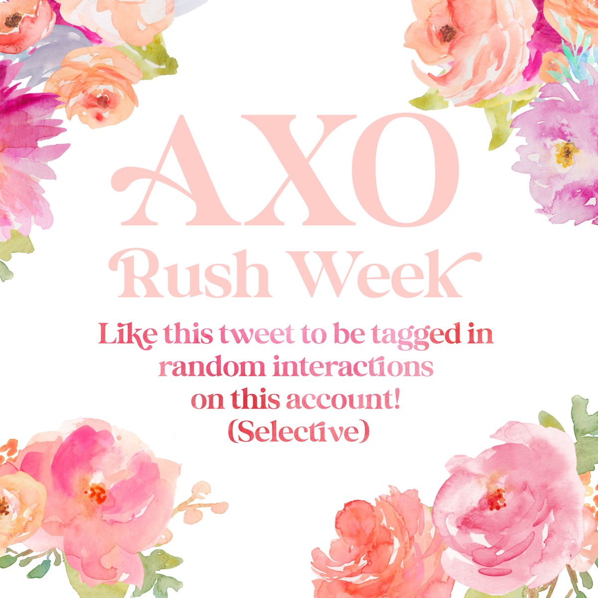 AXOSoutherhill's tweet photo. 🌸🌸🌸 https://t.co/5p4ofTMijP