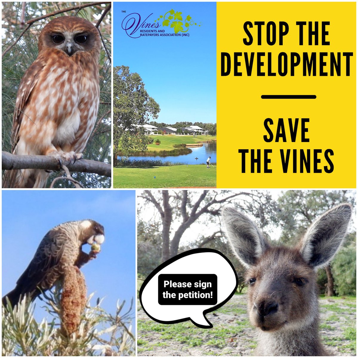 VinesRA's tweet photo. The petition to stop the redevelopment of The Vines Golf Course is being signed by the community for many reasons: loss of amenity, increased bushfire risk, and saving all the local wildlife 😥🦘🐾⛳

https://t.co/cZ7CRmCF4P

@GolfWestAust @7NewsPerth @9NewsPerth @10NewsFirstPER https://t.co/wFA4iLNE1N