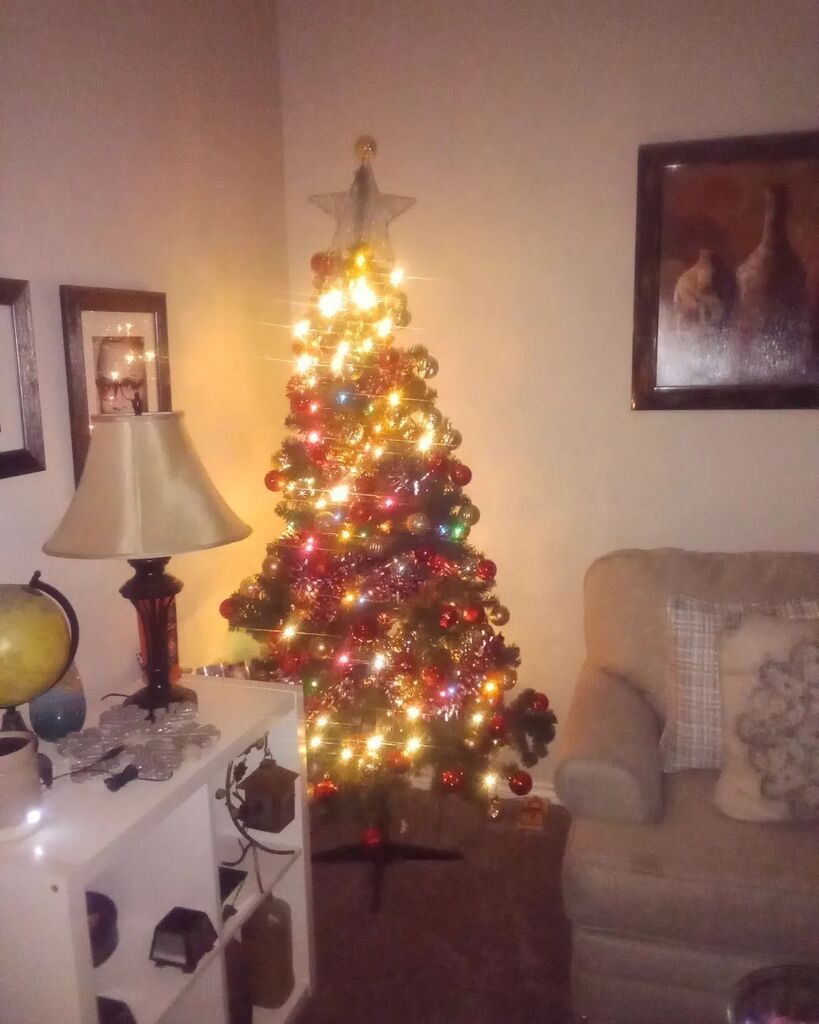 PeanutsCircus's tweet image. Before Christmas. My little sister's place.
#beforedecember#beforedecemberends instagr.am/p/CnfpRJsJW1v/