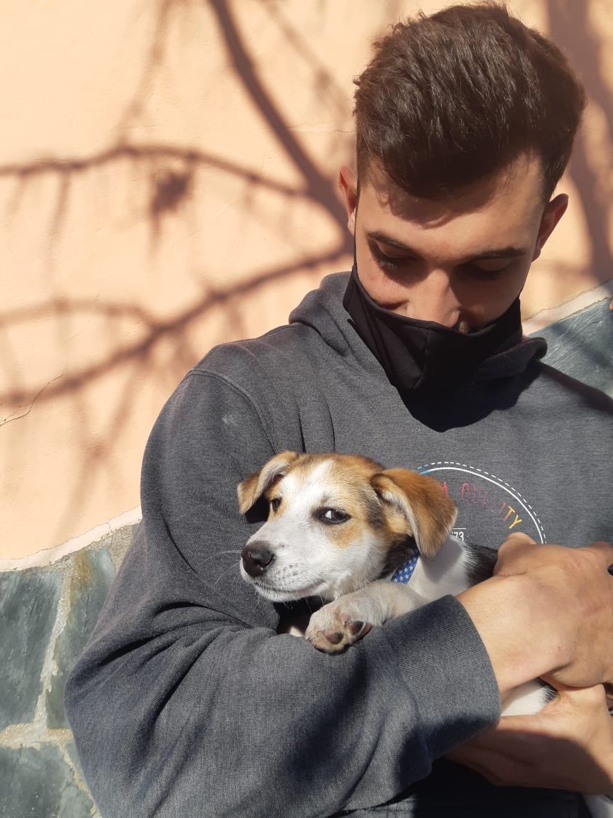 juliveron14's tweet photo. Como empezó / como va 🐶🐶 https://t.co/ZrbbB0DiRa