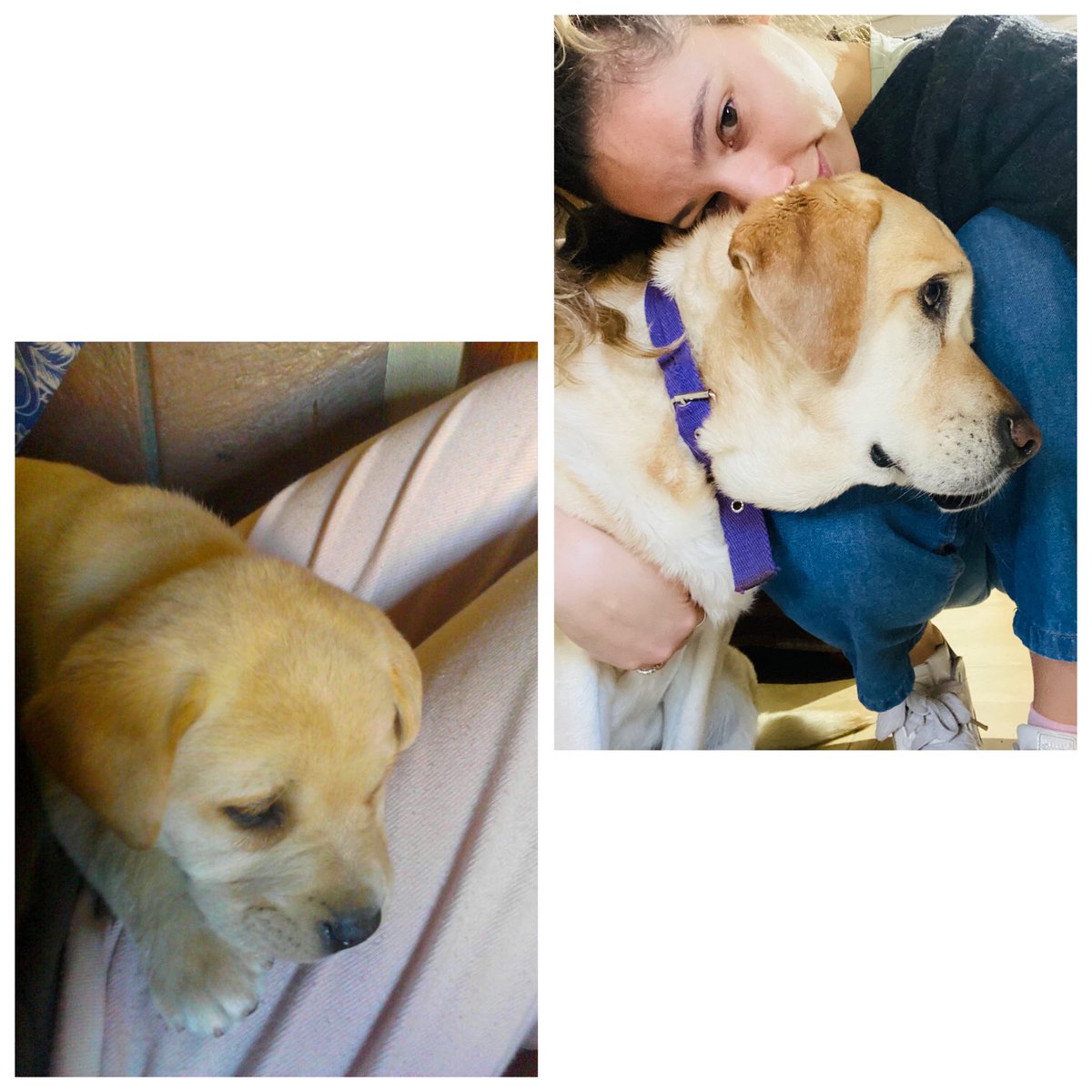 ClariRic's tweet photo. @drapeluche Como empezó // Como va ♥️ #Olivia https://t.co/w9HNdsN0wv