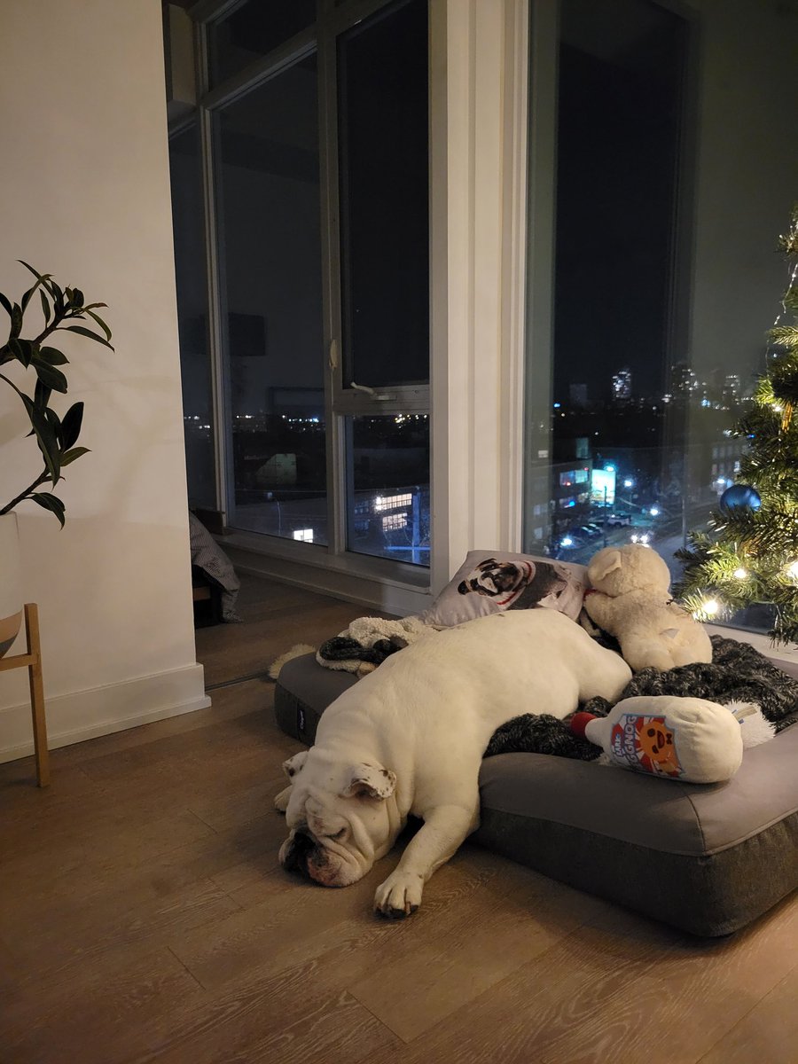 Jen Farr tweet media