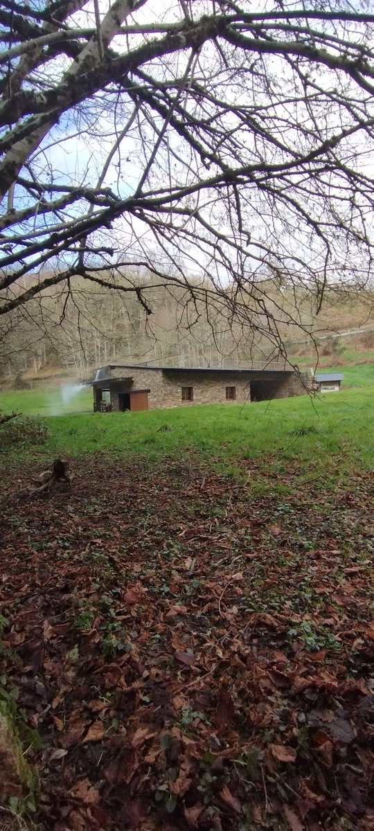 El escenario donde se materializan los espíritus escondidos