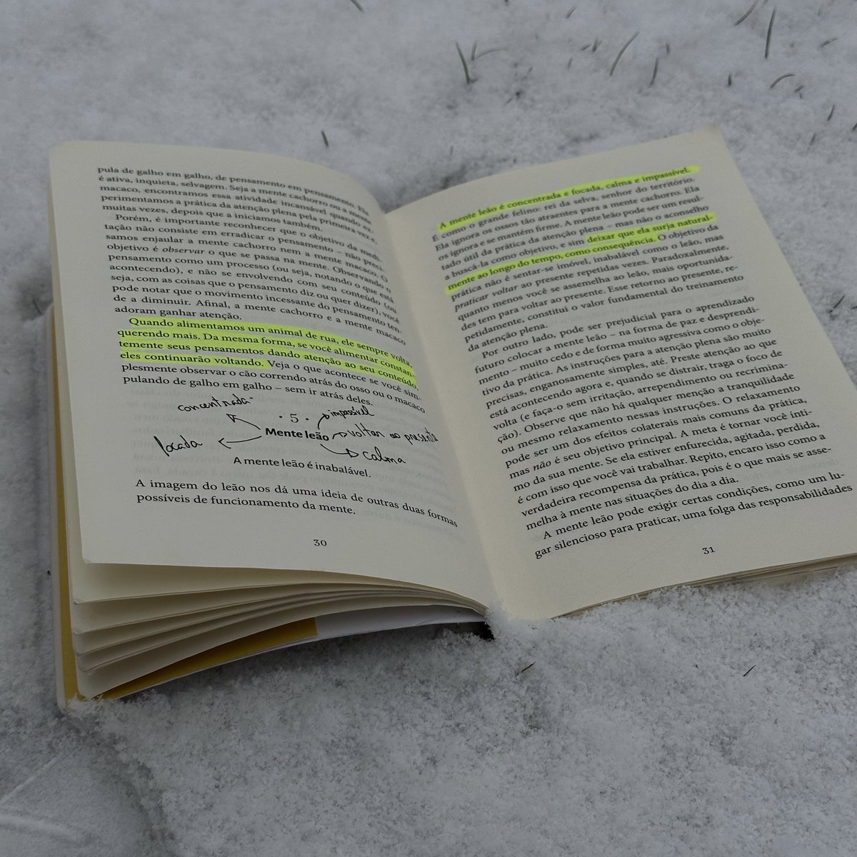 studyaugusto's tweet photo. COMO ESTUDAR (quando você não consegue focar nos estudos) https://t.co/VTXSJCAh72