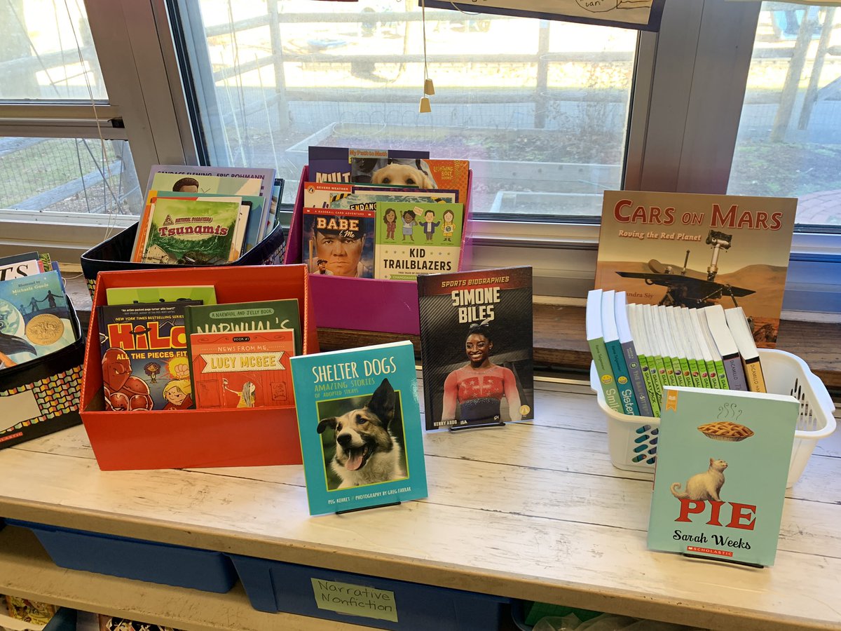 MrsDonatello914's tweet photo. We are so fortunate to have this wonderful gift of books for our classroom library. Can’t wait to reveal our new display to 3D tomorrow! @LincolnWPS @wyckoffschools #ARPESSER #funding https://t.co/cJGtWbrBdr