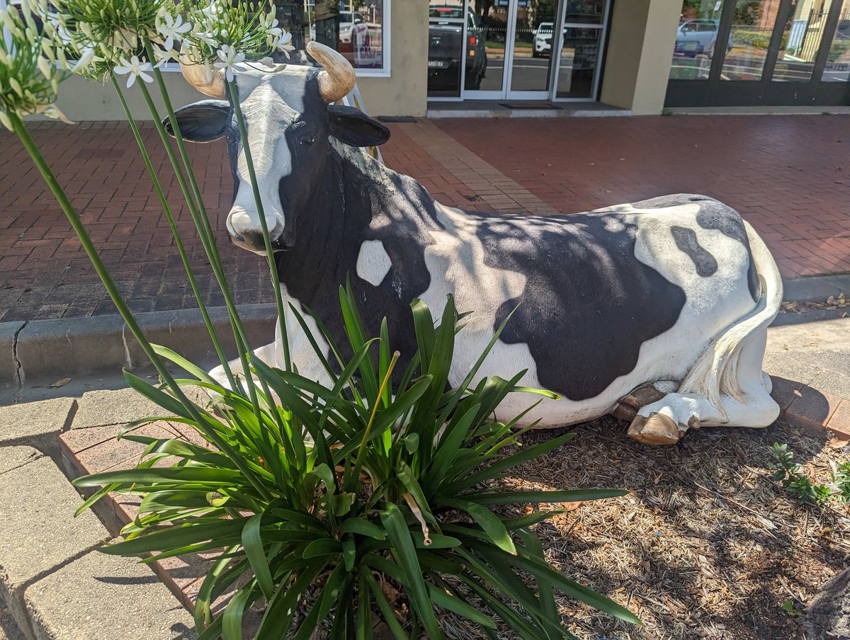 Ninten on Twitter "it's a beautiful day outside. Birds are singing