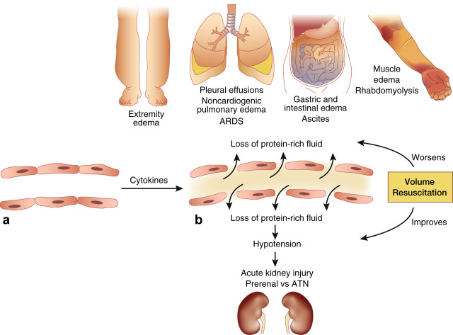 Walter M Chesnut tweet media