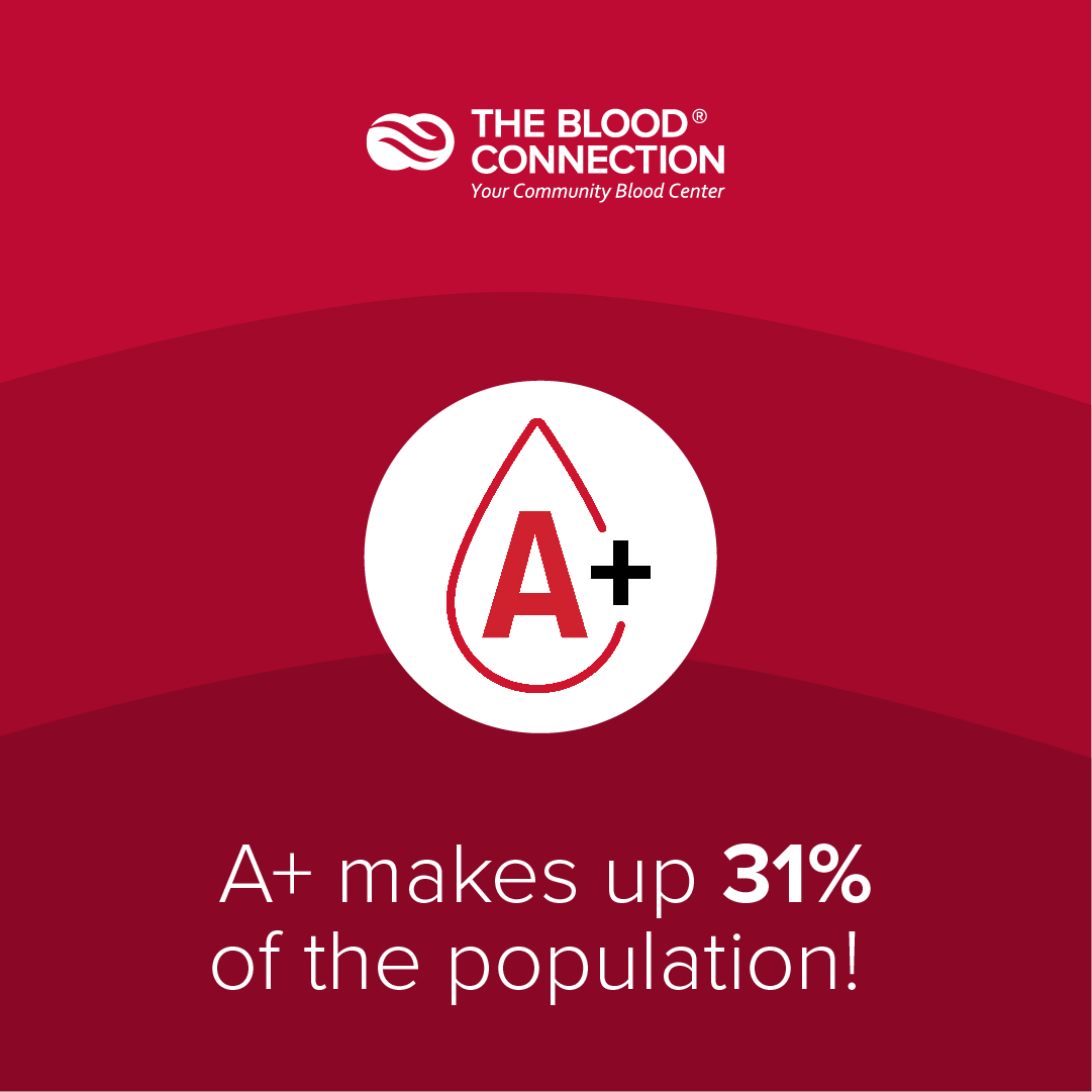 A+ - Donate Blood - The Blood Connection