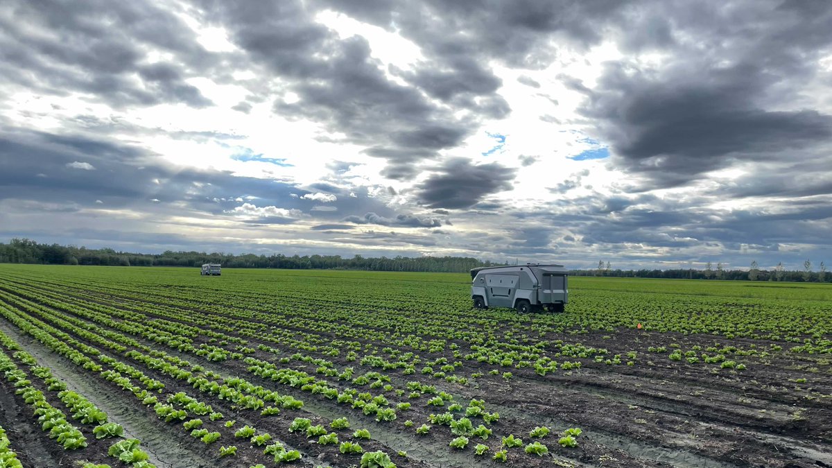 WorldAgExpo's tweet photo. Nexus was 1st to build a robot that pulls weeds. “The Goat” uses cameras & AI to differentiate between weeds & crops. Once it sees a weed, a robotic arm extracts it from the ground without damaging crops. See The Goat at World Ag Expo® in A8! #WAE23 #worldag expo #agtech #robot https://t.co/c6inEHH9s6