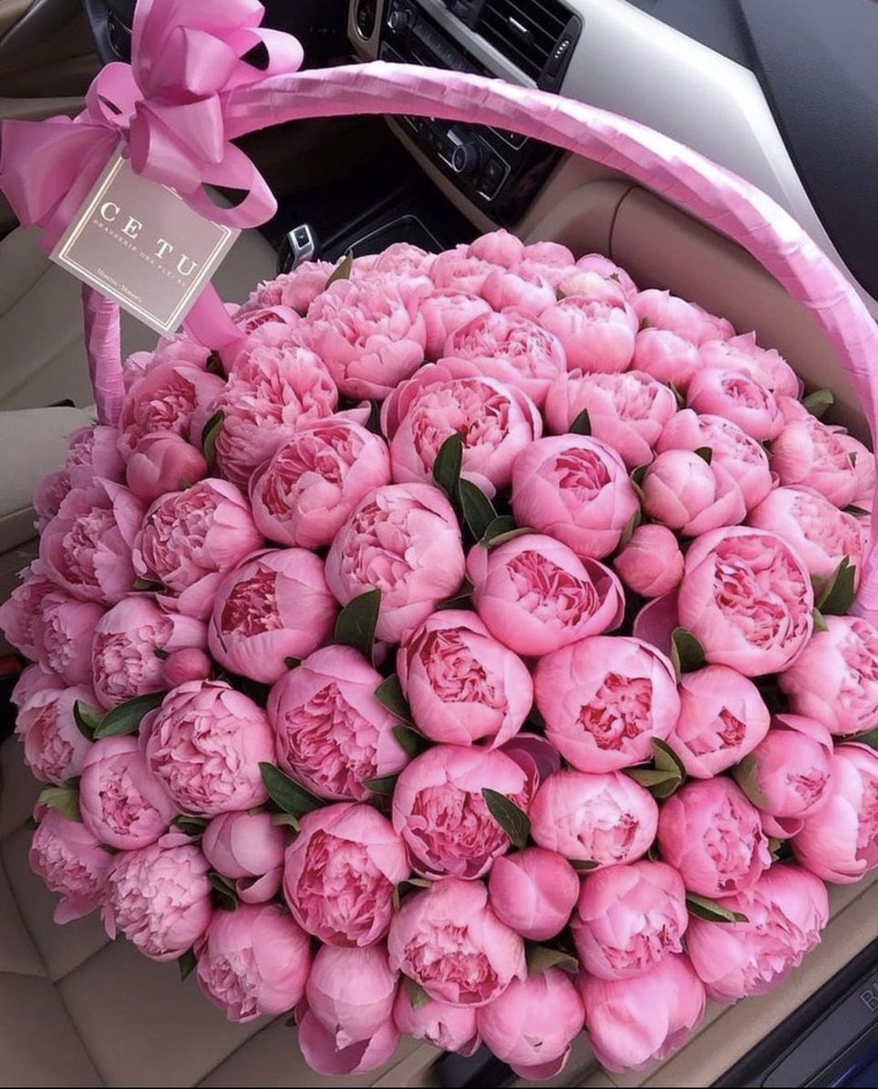 bestofpinkk's tweet photo. Pretty Pink Peonies https://t.co/d9pg7wOAWK