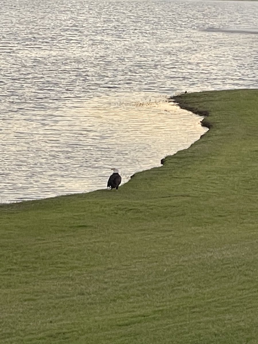 Ellyanas tweet media