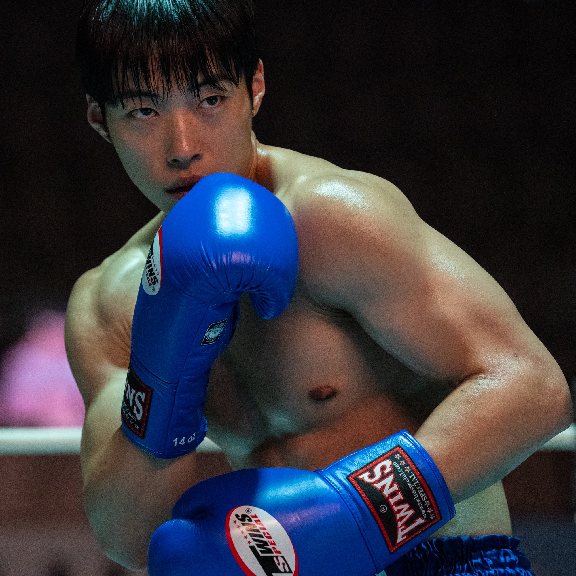Cães de Caça”: a série de boxe sul-coreana que está a fazer