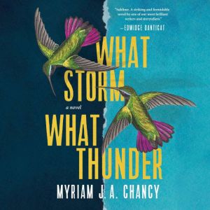 #throwback Check out my interview with Author @myriamjachancy ow.ly/2Foy50Ms9TC #whatstormwhatthunder #books #fiction #haiti #writers #womenwrjters #immigration #family #earthquakes #haitianwriters #joykeys #podcast #womenpodcasters #blackpodcasters #phillypodcasters