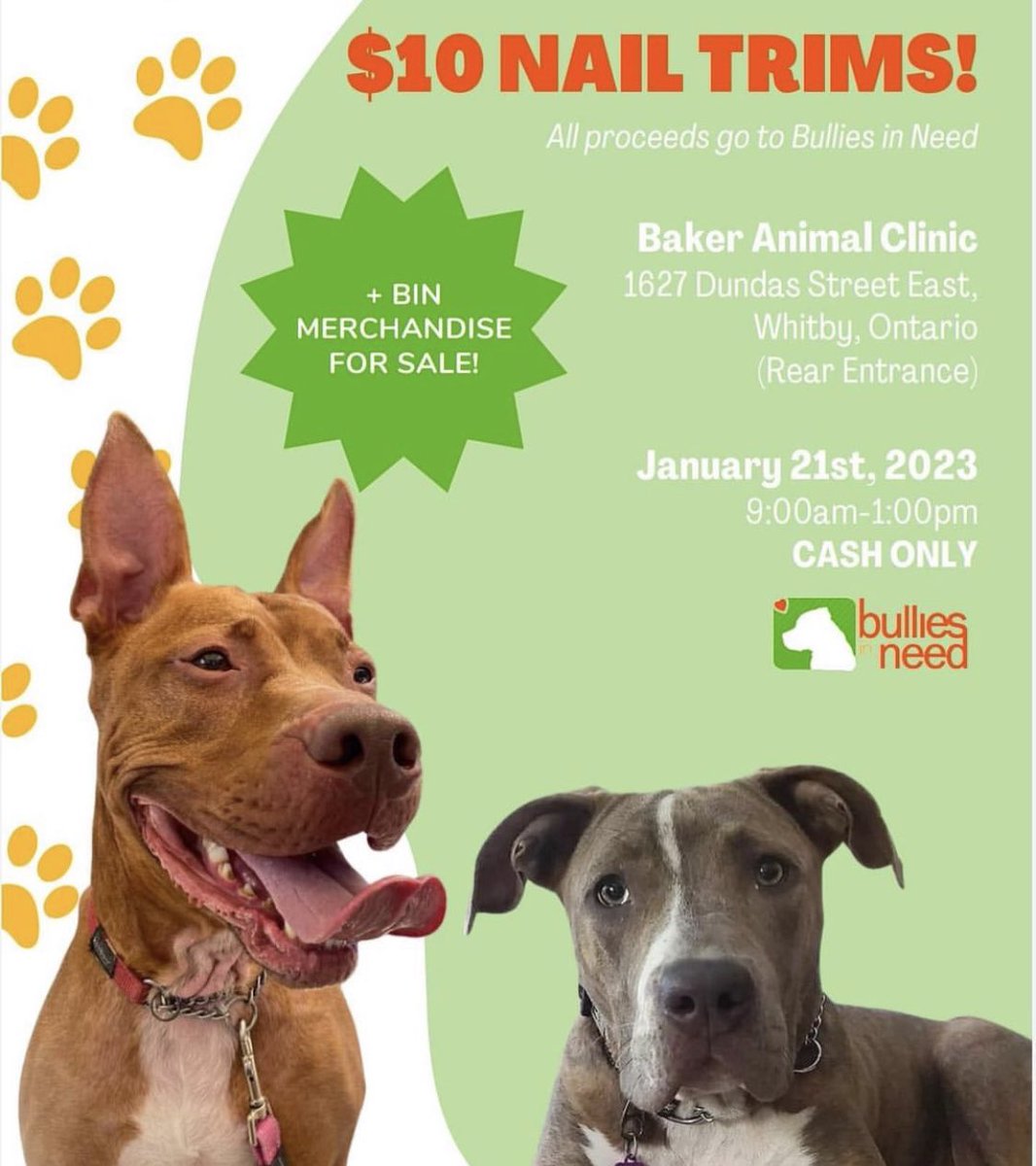Does your pup need a nail trim? Swing by on January 21st for $10 nail trims &amp; snag some BIN merch while you’re there. All proceeds go to our fosters! 🐶❤️#AdoptDontShop #FostersSaveLives #EndBSL #pitbullrescue