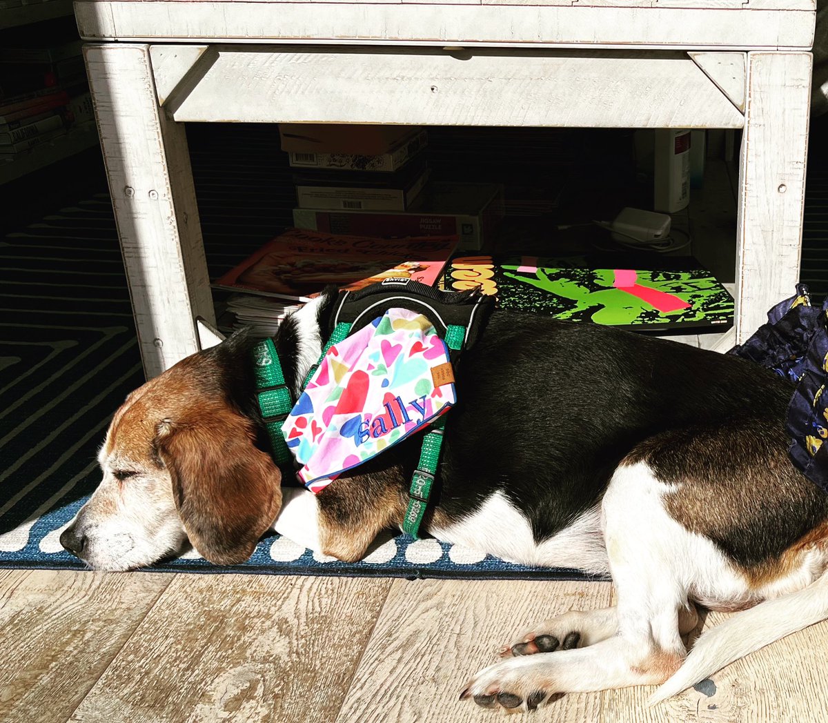 Jennifer Cabe tweet media