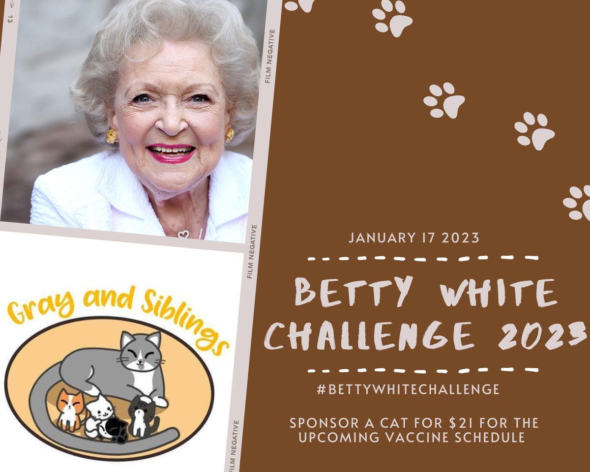 #BettyWhiteChallenge 
As we celebrate her 101st birthday today, let us continue to honor Betty White. Donate today to help carry her legacy and the embodiment of her kind heart, empathy, and love for animals in all shapes and sizes
#catsofinstagram #CatsofTwittter #CatsOfTwitter