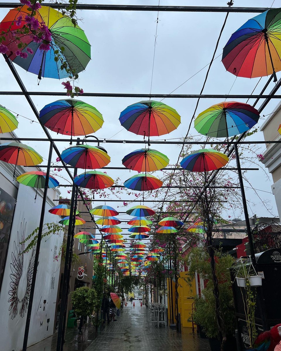 nobasecamp's tweet photo. Rain or shine Umbrella Street will brighten your day! 🌦️🌈

#umbrellastreet #umbrellastreetpuertoplata #rain #shine #puertoplata #puertoplatacity #puertoplatard #dominicanrepublic #republicadominicana #republicadominicana🇩🇴 #nobasecamp https://t.co/tDICOTRkq3