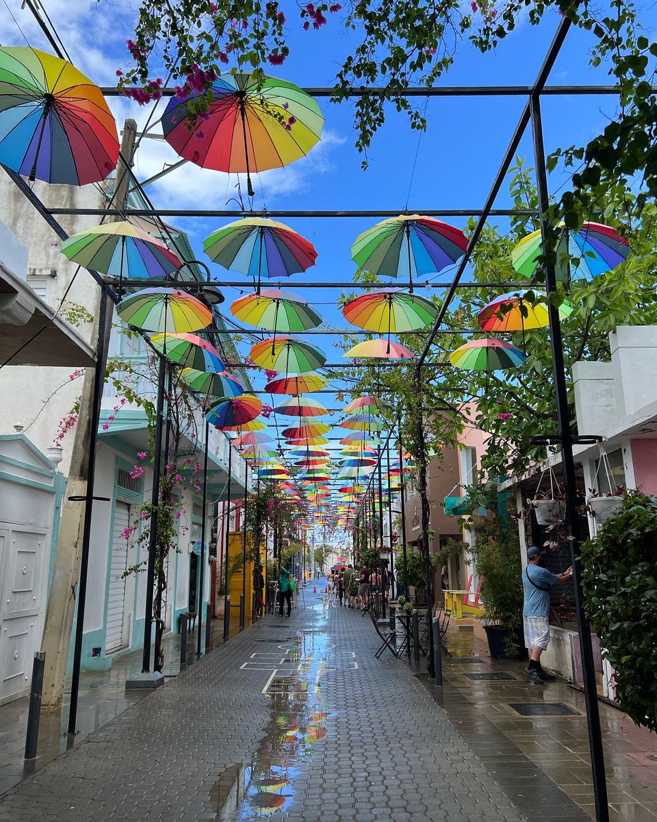 nobasecamp's tweet photo. Rain or shine Umbrella Street will brighten your day! 🌦️🌈

#umbrellastreet #umbrellastreetpuertoplata #rain #shine #puertoplata #puertoplatacity #puertoplatard #dominicanrepublic #republicadominicana #republicadominicana🇩🇴 #nobasecamp https://t.co/tDICOTRkq3