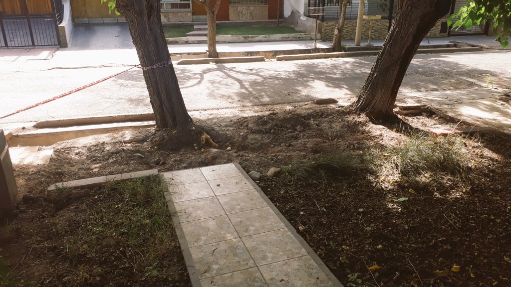 Estefan07829586's tweet photo. @MuniGodoyCruz @TadeoGZ luego de 10 años de reclamos por las raíces de los árboles, el 06 de enero vino la municipalidad dejó la vereda en ese estado y el peligro de la caída de los árboles sigue existiendo, sin contar todos los daños que va tiene la casa. https://t.co/iFciIGEK82