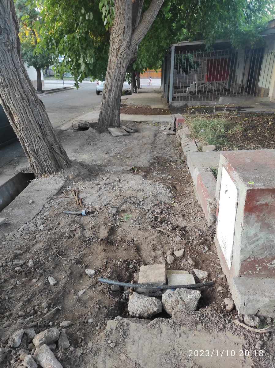 Estefan07829586's tweet photo. @MuniGodoyCruz @TadeoGZ luego de 10 años de reclamos por las raíces de los árboles, el 06 de enero vino la municipalidad dejó la vereda en ese estado y el peligro de la caída de los árboles sigue existiendo, sin contar todos los daños que va tiene la casa. https://t.co/iFciIGEK82