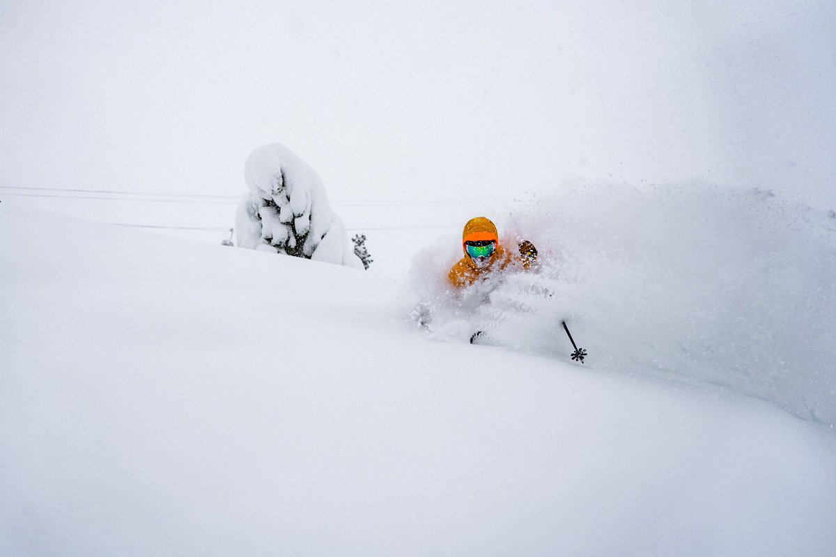 palisadestahoe's tweet photo. The internet: So, how were conditions today?
Us: Little something like this…
#januBURIED #palisadesmade https://t.co/sfsdA2GTin