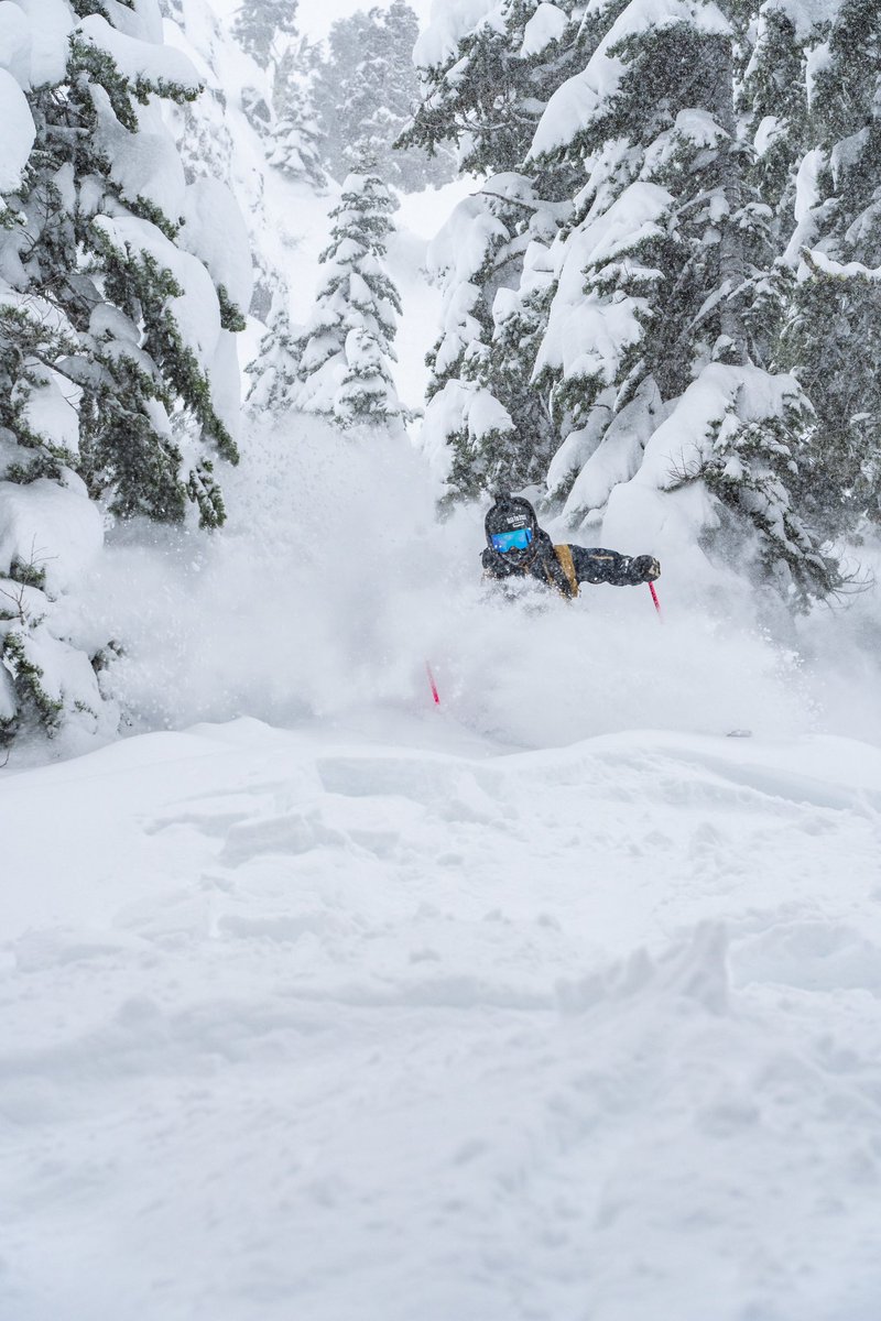 palisadestahoe's tweet photo. The internet: So, how were conditions today?
Us: Little something like this…
#januBURIED #palisadesmade https://t.co/sfsdA2GTin