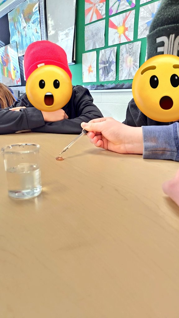 Ashley Knoflook tweet media