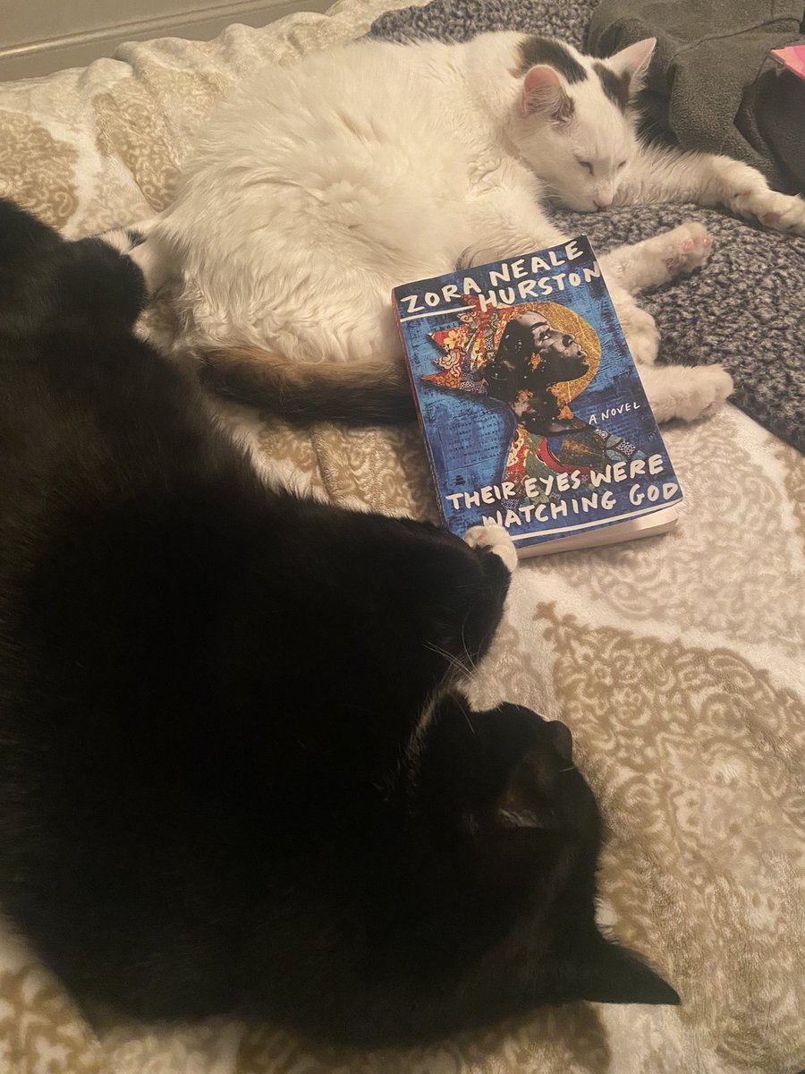 #catsandbooks