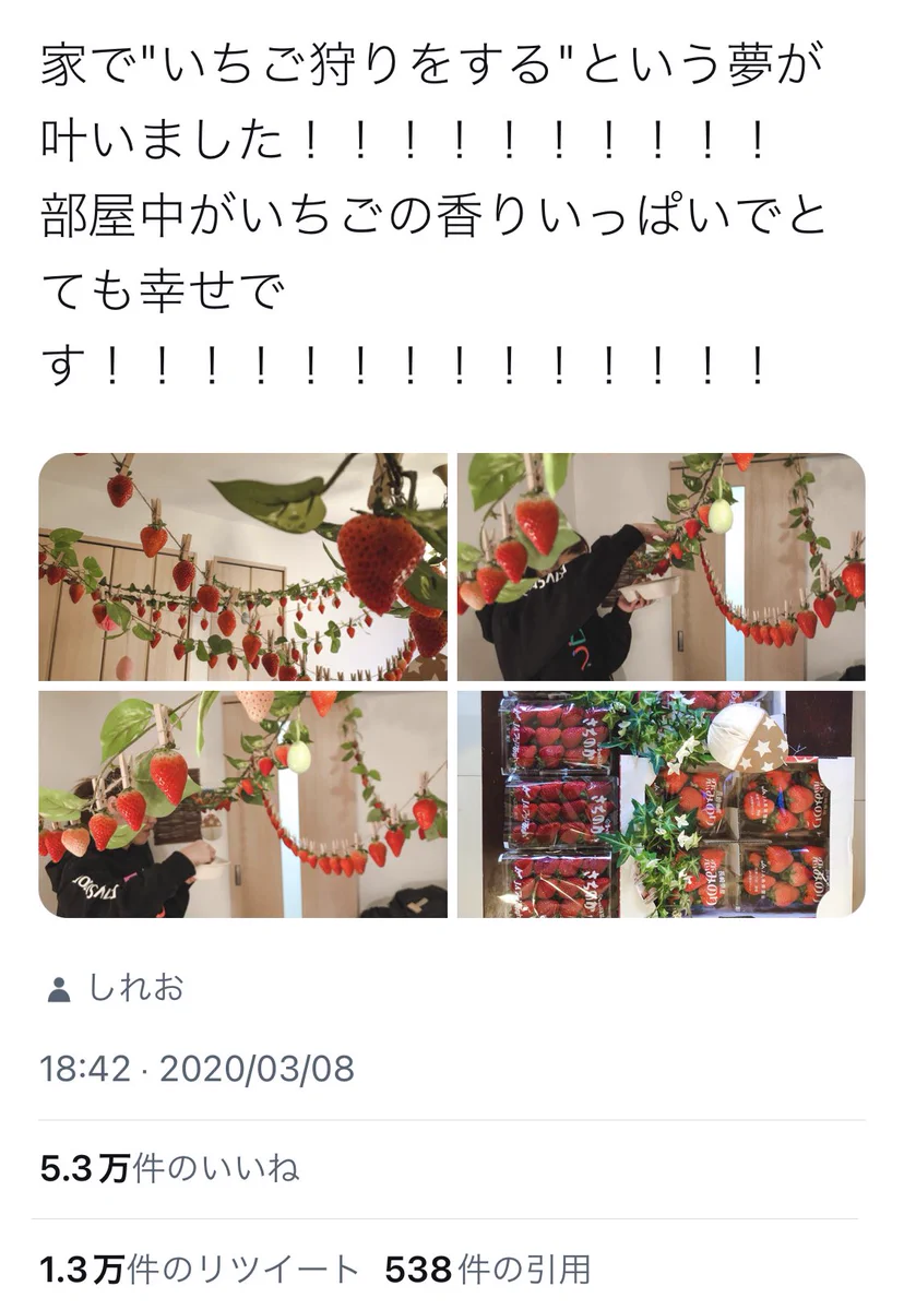 親の愛が伝わればよい！？理想と現実のお家いちご狩り。